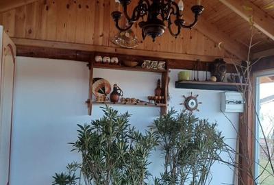 Casa / Vila ( P+1 ) Zona Tisauti - 22