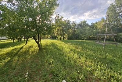 Teren de 5524 mp, în Poiana - 5
