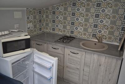 Garsonieră în Sârbi - 2