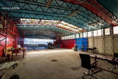 Spațiu industrial, de 324 mp, în Giurgiului