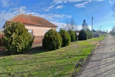 Casă cu 3 camere cu Teren 1616 Mp în Central - 2