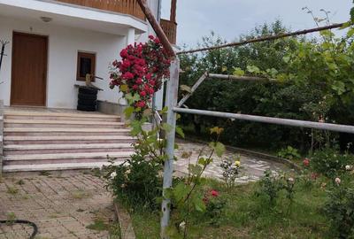 Casă cu 2 camere cu Teren 8000 Mp în Budieni - 5