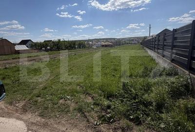 Teren de 6000 mp, în Ipotești - 2