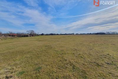 COMISION 0% Teren intravilan 6400 mp la drum asfaltat - Padureni - 16