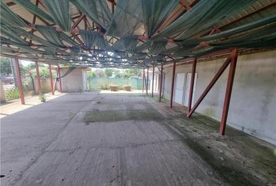Spațiu comercial, de 300 mp, în Buzescu - 5
