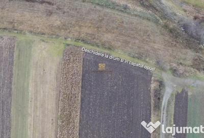 Teren de 14066 mp, în Mihoveni - 1