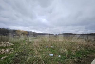 Teren de 1184 mp, în Abator - 2