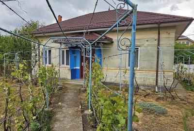 Casă cu 4 camere cu Teren 1500 Mp în Urzica - 4
