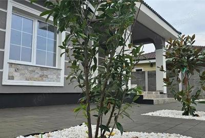 Casă cu Teren 500 Mp în Sânmihaiu Român - 3