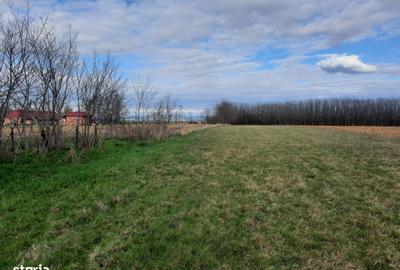 Teren de 3483 mp, în Medieșu Aurit - 2