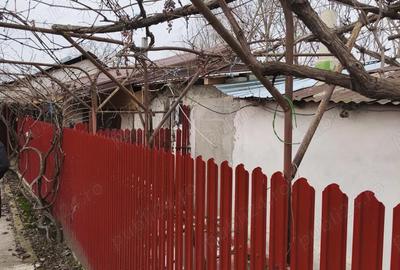 Casă cu 4 camere cu Teren 1340 Mp în Băneasa - 6