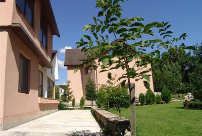 Casă cu 1 camere cu Teren 2000 Mp în Poieni-Solca - 9
