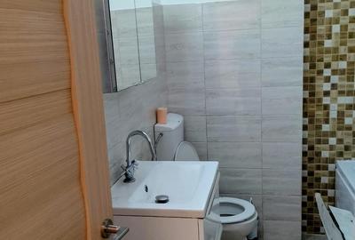 Garsonieră decomandată în Badea Cârțan - 13