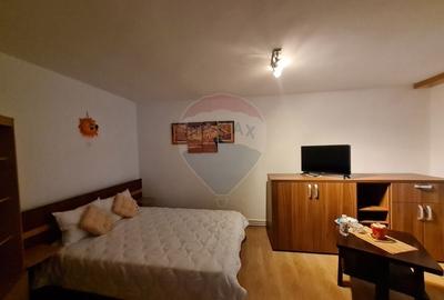 Apartament cu 1 camere de inchiriat in zona Brailei