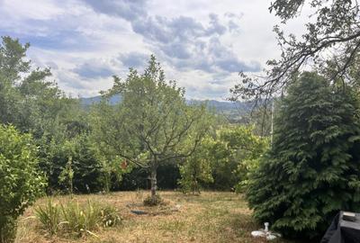 Teren 1.100 mp front 14ml Tropinii Noi Sibiu - Rasinari