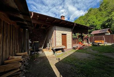 CASA DE VANZARE ZONA MONTANA - 14