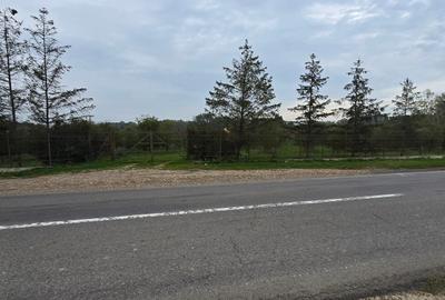 LIVADA  DE VANZARE FOCSANI-DUMBRAVITA  1,8  HA - 29