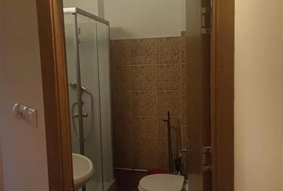 Apartament cu 3 camere decomandat, mobilat în Păcurari - 9