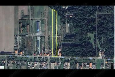 Teren de 5500 mp, în Bazoș - 2