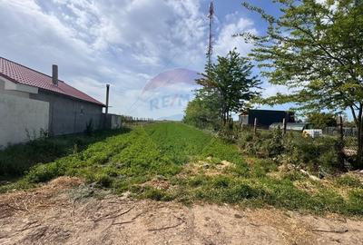 Teren Intravilan de vanzare 800 mp Valea Dacilor Medgidia - 5