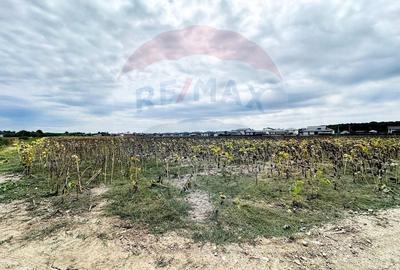 Teren Construcții intravilan de 14863 mp, în Ciorogârla - 3