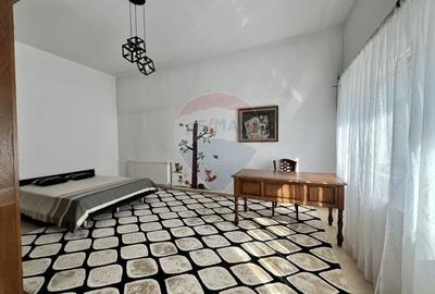 Casa atipica, spatioasa si versatila in comuna Pasarea (Branesti) - 44