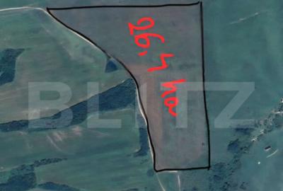 Tern extravilan 26,3974 ha, Ardud - 1