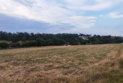 Spațiu comercial, în Central - 1