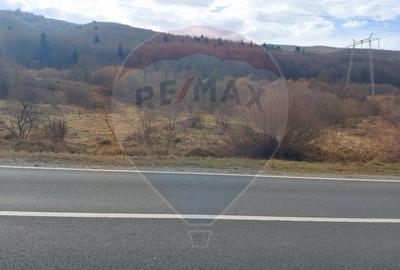 Teren agricol extravilan de 10000 mp, în Brădet - 3