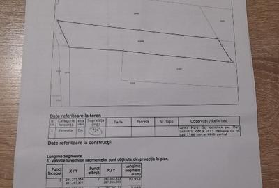 Teren de vânzare în apropiere de Herculane 10 km - 4