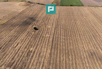 Teren extravilan, zona Freidorf-Sagului, Timisoara - 2