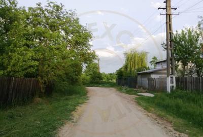 Teren de 900 mp, în Moșoaia - 3