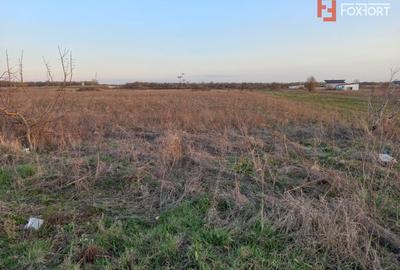 Teren Construcții intravilan de 4464 mp, în Ghiroda - 1