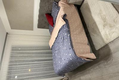 APARTAMENT 3 CAMERE langa ESO Giroc Regim hotelier accept si daca lucrati! - 10