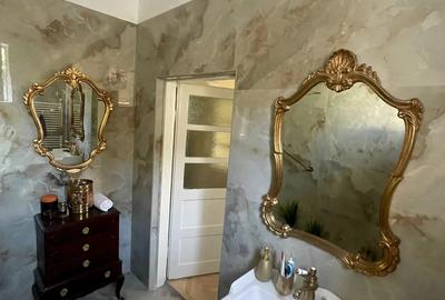 Casa individuala Musicescu. Timisoara - 8