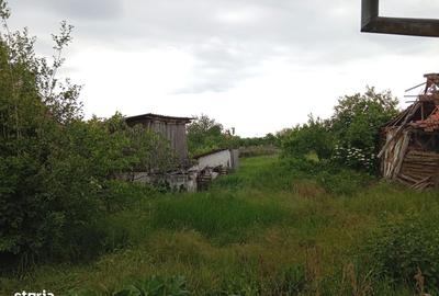 Casă cu 3 camere în Măderat - 3