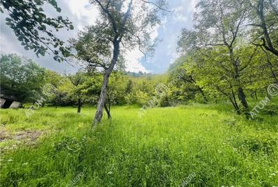 Teren de 1811 mp, în Sibiel - 7