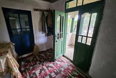 Gospodarie cu 2 case Comuna Trivale Mosteni, sat , la 30 km de Alexandria, jude?ul Teleorman - 9