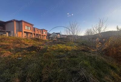 Teren Intravilan 700mp valea jelnei - 4