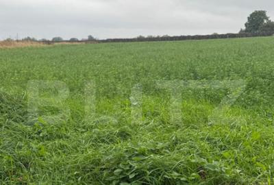 Teren de 1213 mp, în Central