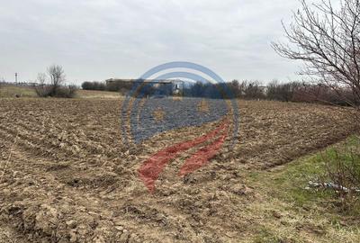 Teren 935mp Bradesti / Strada Valea Rea - 4