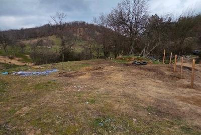 Teren intravilan de 854 mp, în Eșelnița - 10