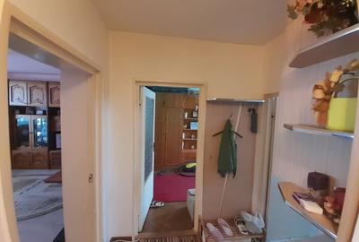 Apartament cu 3 camere decomandat, mobilat în Calea Moldovei - 9