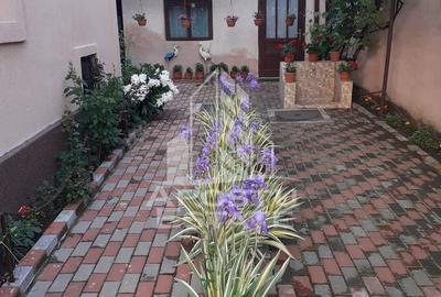 Casa individuala plus anexa, zona centrala in Faget - 6