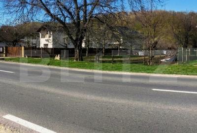 Teren de 5300 mp, în Voinești - 12