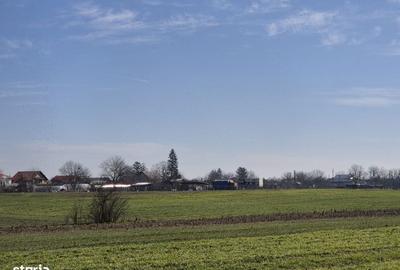 Teren de 1663 mp, în Ulmi - 14