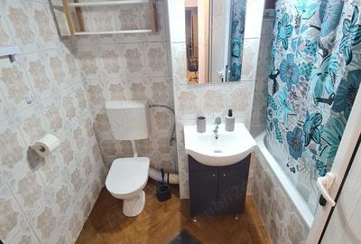 Ap 3 cam in Breaza--300e - 14