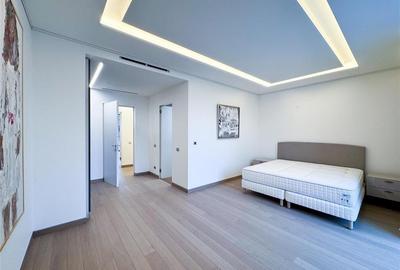 Apartament de inchiriat 4 camere Kiseleff - 24