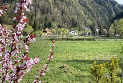 Teren panoramic insorit, utilitati, panta mica si padure, turism sau vacanta - 14