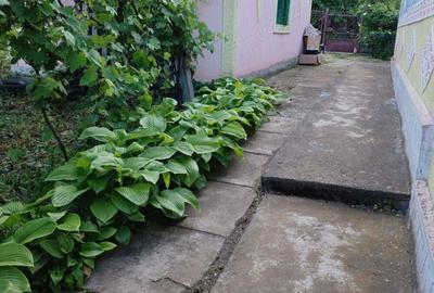 Casa in Miorcani - 5